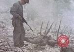 Immagine di Stati Uniti Marines Peleliu Isole Palau, 1944, secondo 39 filmato di repertorio 65675059648