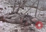 Immagine di Stati Uniti Marines Peleliu Isole Palau, 1944, secondo 41 filmato di repertorio 65675059648