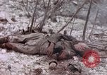 Immagine di Stati Uniti Marines Peleliu Isole Palau, 1944, secondo 42 filmato di repertorio 65675059648