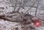Immagine di Stati Uniti Marines Peleliu Isole Palau, 1944, secondo 43 filmato di repertorio 65675059648