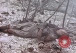 Immagine di Stati Uniti Marines Peleliu Isole Palau, 1944, secondo 44 filmato di repertorio 65675059648