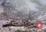 Immagine di Stati Uniti Marines Peleliu Isole Palau, 1944, secondo 45 filmato di repertorio 65675059648