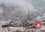 Immagine di Stati Uniti Marines Peleliu Isole Palau, 1944, secondo 47 filmato di repertorio 65675059648