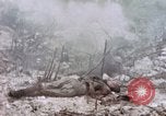Immagine di Stati Uniti Marines Peleliu Isole Palau, 1944, secondo 48 filmato di repertorio 65675059648