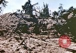 Image of United States Marines Peleliu Palau Islands, 1944, second 40 stock footage video 65675059650