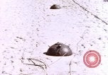 Image of United States Marines Peleliu Palau Islands, 1944, second 6 stock footage video 65675059651