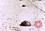 Image of United States Marines Peleliu Palau Islands, 1944, second 8 stock footage video 65675059651