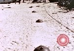 Image of United States Marines Peleliu Palau Islands, 1944, second 10 stock footage video 65675059651