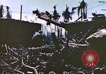 Image of United States Marines Peleliu Palau Islands, 1944, second 38 stock footage video 65675059651