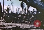 Image of United States Marines Peleliu Palau Islands, 1944, second 41 stock footage video 65675059651