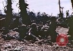 Image of United States Marines Peleliu Palau Islands, 1944, second 52 stock footage video 65675059651