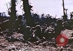 Image of United States Marines Peleliu Palau Islands, 1944, second 58 stock footage video 65675059651