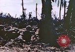 Image of United States Marines Peleliu Palau Islands, 1944, second 61 stock footage video 65675059651