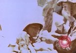 Standbild Vereinigten Staaten Marines im Kampf auf Saipan Saipan Nördliche Marianen, 1944, aus Sekunde 6 historischem Filmmaterial Videoclip 65675059655