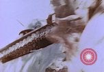 Standbild Vereinigten Staaten Marines im Kampf auf Saipan Saipan Nördliche Marianen, 1944, aus Sekunde 20 historischem Filmmaterial Videoclip 65675059655