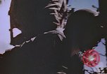 Standbild Vereinigten Staaten Marines im Kampf auf Saipan Saipan Nördliche Marianen, 1944, aus Sekunde 50 historischem Filmmaterial Videoclip 65675059655