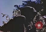 Standbild Vereinigten Staaten Marines im Kampf auf Saipan Saipan Nördliche Marianen, 1944, aus Sekunde 52 historischem Filmmaterial Videoclip 65675059655