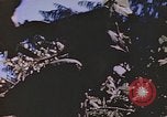 Standbild Vereinigten Staaten Marines im Kampf auf Saipan Saipan Nördliche Marianen, 1944, aus Sekunde 53 historischem Filmmaterial Videoclip 65675059655