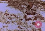 Standbild Vereinigten Staaten Marines Saipan Nördliche Marianen, 1944, aus Sekunde 7 historischem Filmmaterial Videoclip 65675059656