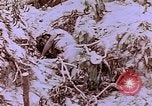 Standbild Vereinigten Staaten Marines Saipan Nördliche Marianen, 1944, aus Sekunde 38 historischem Filmmaterial Videoclip 65675059656
