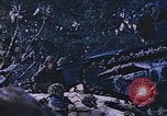 Immagine di Stati Uniti Marines Saipan Isole Marianne Settentrionali, 1944, secondo 24 filmato di repertorio 65675059657