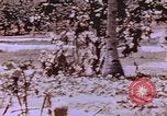 Immagine di Stati Uniti Marines Saipan Isole Marianne Settentrionali, 1944, secondo 53 filmato di repertorio 65675059657