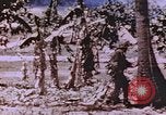 Immagine di Stati Uniti Marines Saipan Isole Marianne Settentrionali, 1944, secondo 55 filmato di repertorio 65675059657