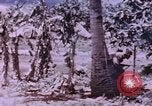 Immagine di Stati Uniti Marines Saipan Isole Marianne Settentrionali, 1944, secondo 58 filmato di repertorio 65675059657