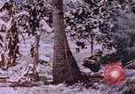 Immagine di Stati Uniti Marines Saipan Isole Marianne Settentrionali, 1944, secondo 60 filmato di repertorio 65675059657