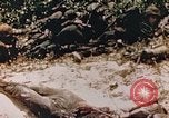 Immagine di Stati Uniti Marines Saipan Isole Marianne Settentrionali, 1944, secondo 3 filmato di repertorio 65675059658