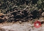 Immagine di Stati Uniti Marines Saipan Isole Marianne Settentrionali, 1944, secondo 4 filmato di repertorio 65675059658