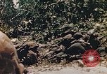 Immagine di Stati Uniti Marines Saipan Isole Marianne Settentrionali, 1944, secondo 8 filmato di repertorio 65675059658