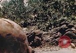 Immagine di Stati Uniti Marines Saipan Isole Marianne Settentrionali, 1944, secondo 9 filmato di repertorio 65675059658