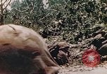 Immagine di Stati Uniti Marines Saipan Isole Marianne Settentrionali, 1944, secondo 10 filmato di repertorio 65675059658