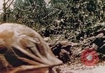 Immagine di Stati Uniti Marines Saipan Isole Marianne Settentrionali, 1944, secondo 11 filmato di repertorio 65675059658