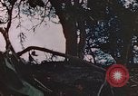 Immagine di Stati Uniti Marines Saipan Isole Marianne Settentrionali, 1944, secondo 49 filmato di repertorio 65675059658