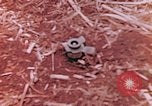 Immagine di Stati Uniti Marines Saipan Isole Marianne Settentrionali, 1944, secondo 4 filmato di repertorio 65675059661