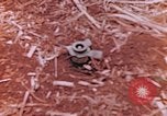 Immagine di Stati Uniti Marines Saipan Isole Marianne Settentrionali, 1944, secondo 5 filmato di repertorio 65675059661