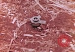 Immagine di Stati Uniti Marines Saipan Isole Marianne Settentrionali, 1944, secondo 8 filmato di repertorio 65675059661