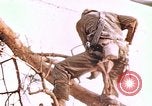 Image des Marines des États-Unis Saipan Îles Mariannes du Nord, 1944, de la seconde 1 séquences d'archives historiques vidéo 65675059662