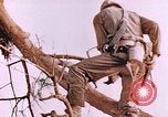 Image des Marines des États-Unis Saipan Îles Mariannes du Nord, 1944, de la seconde 3 séquences d'archives historiques vidéo 65675059662
