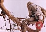 Image des Marines des États-Unis Saipan Îles Mariannes du Nord, 1944, de la seconde 4 séquences d'archives historiques vidéo 65675059662