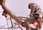 Image des Marines des États-Unis Saipan Îles Mariannes du Nord, 1944, de la seconde 5 séquences d'archives historiques vidéo 65675059662