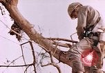 Image des Marines des États-Unis Saipan Îles Mariannes du Nord, 1944, de la seconde 6 séquences d'archives historiques vidéo 65675059662