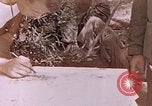 Image des Marines des États-Unis Saipan Îles Mariannes du Nord, 1944, de la seconde 16 séquences d'archives historiques vidéo 65675059662