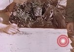 Image des Marines des États-Unis Saipan Îles Mariannes du Nord, 1944, de la seconde 17 séquences d'archives historiques vidéo 65675059662