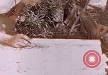Image des Marines des États-Unis Saipan Îles Mariannes du Nord, 1944, de la seconde 18 séquences d'archives historiques vidéo 65675059662