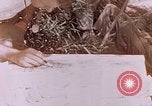 Image des Marines des États-Unis Saipan Îles Mariannes du Nord, 1944, de la seconde 20 séquences d'archives historiques vidéo 65675059662