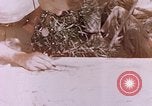 Image des Marines des États-Unis Saipan Îles Mariannes du Nord, 1944, de la seconde 22 séquences d'archives historiques vidéo 65675059662