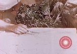 Image des Marines des États-Unis Saipan Îles Mariannes du Nord, 1944, de la seconde 23 séquences d'archives historiques vidéo 65675059662